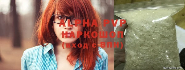 индика Аркадак