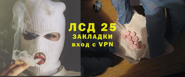 индика Аркадак