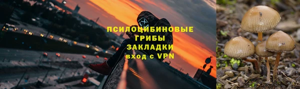 индика Аркадак