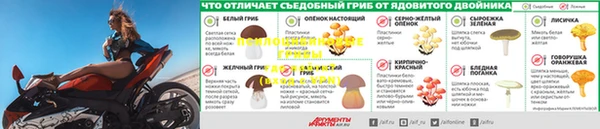 герыч Арсеньев