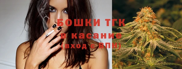 индика Аркадак