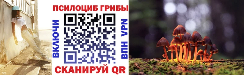 ссылка на мегу рабочий сайт  Оха  Псилоцибиновые грибы прущие грибы  как найти наркотики 