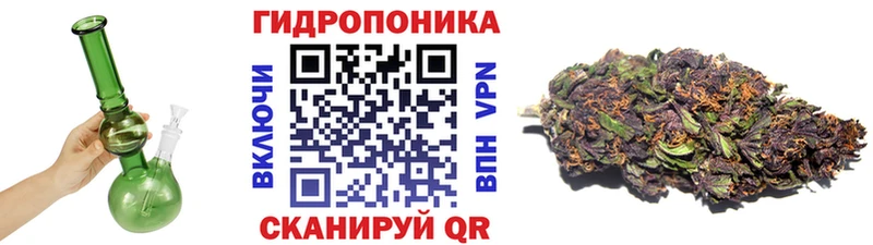 где купить наркотик  Оха  Канабис Bruce Banner 
